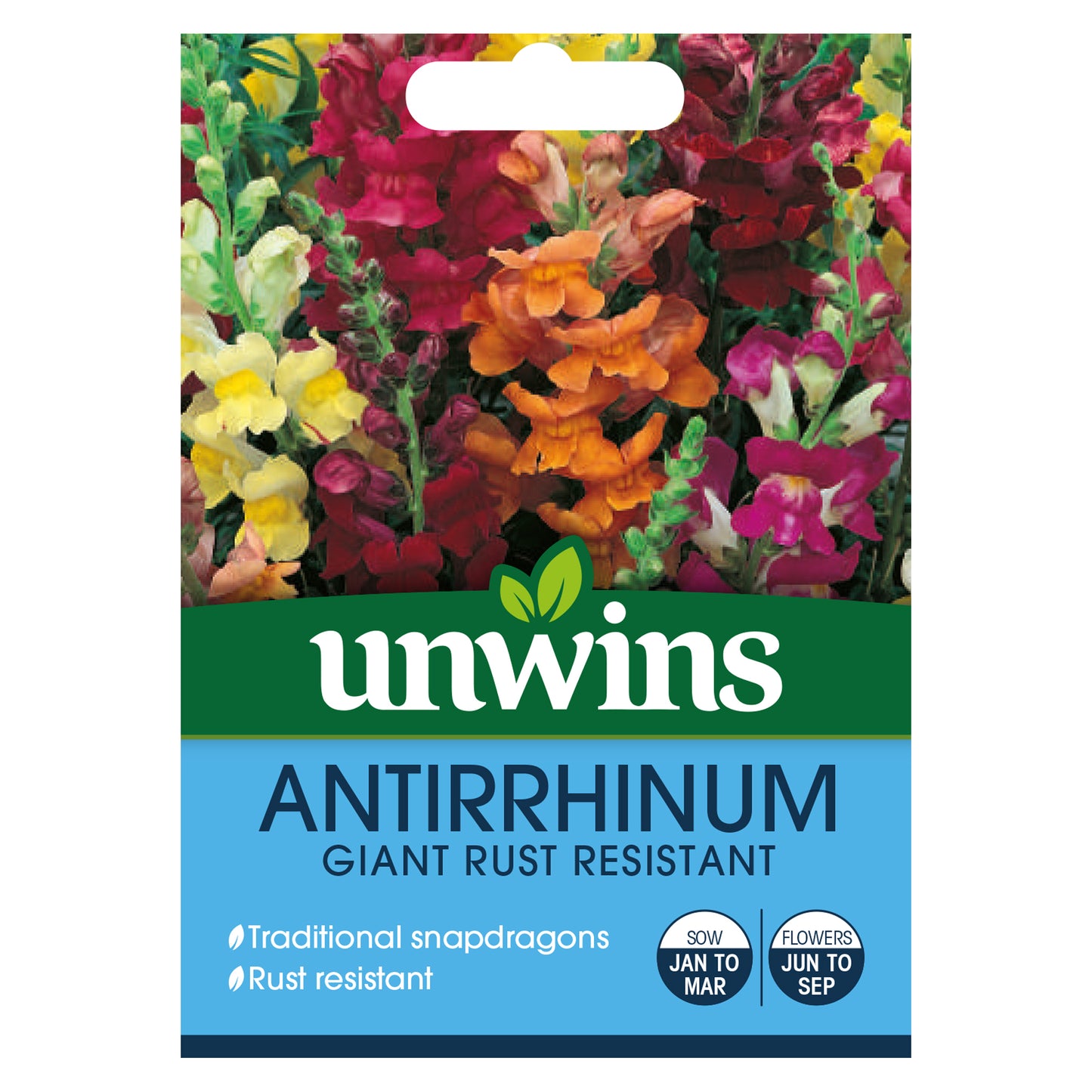 Antirrhinum Giant Rust Resistant