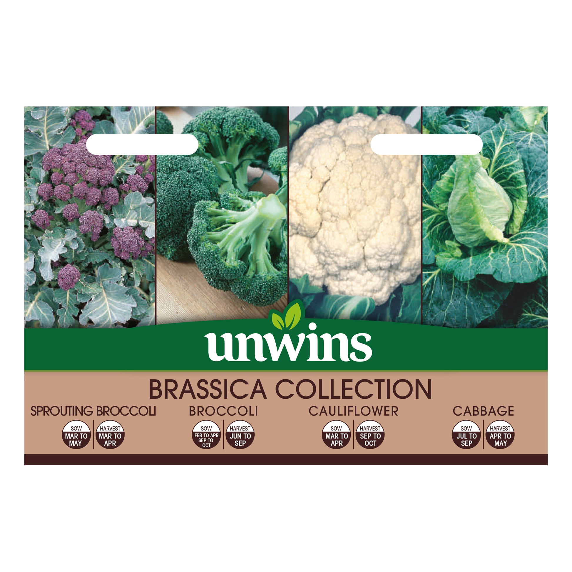 Brassica Collection Pack