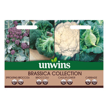Brassica Collection Pack
