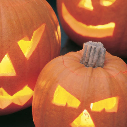 Pumpkin Halloween F1