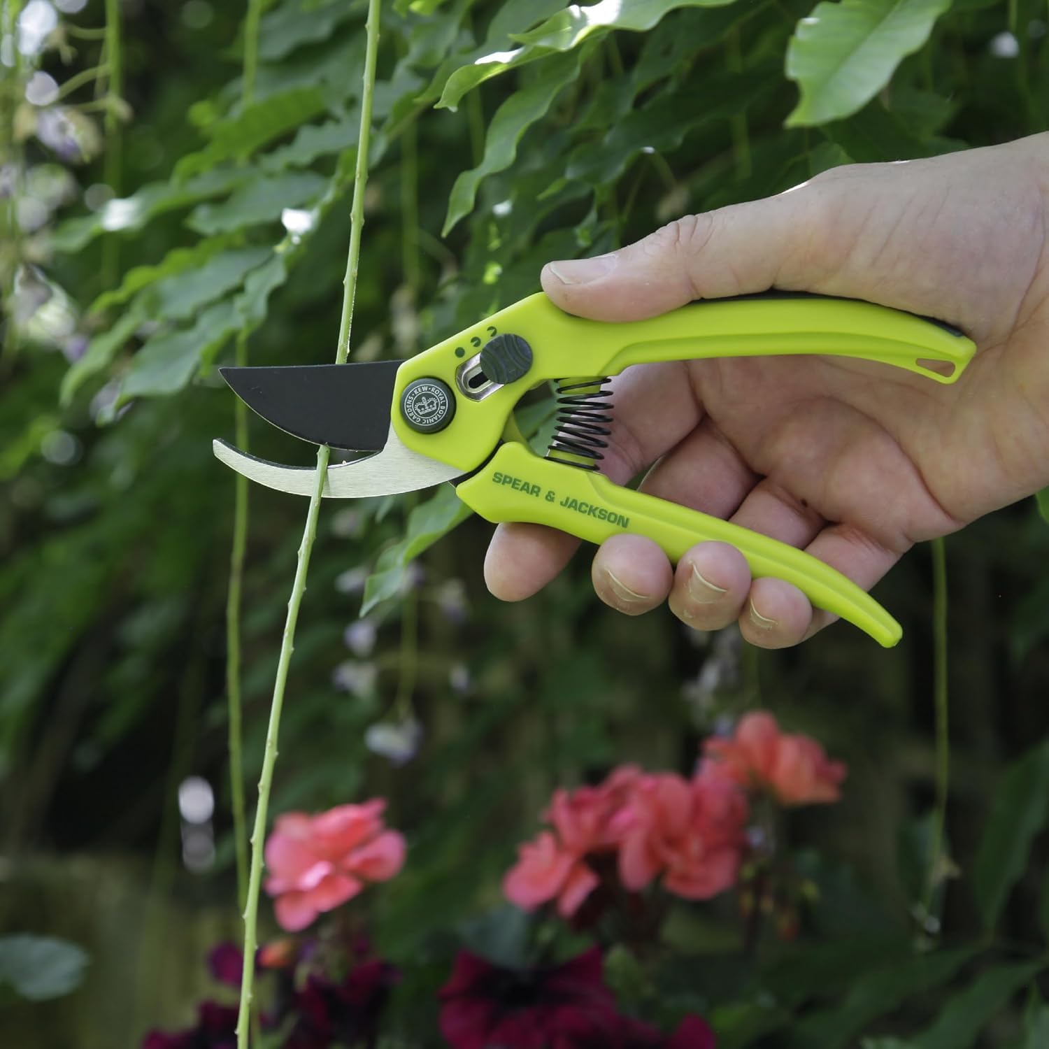 Spear & Jackson Bypass Secateurs + Hand Shears Set in Green