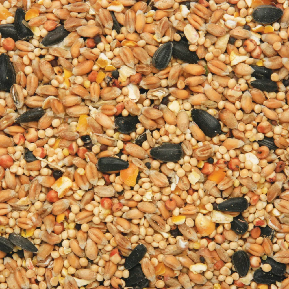 Copdock Mill Wild Bird Seed & Grain Mix 2.5kg