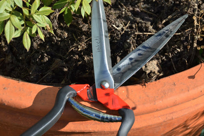 JAKOTI Hand Shears (L30cm) with Handmade Leather Holster. One Handed Garden Shears for Grass, Topiary & Pruning. Sheep Shears for Dagging, Shearing & Trimming. 15cm Steel Blades. 