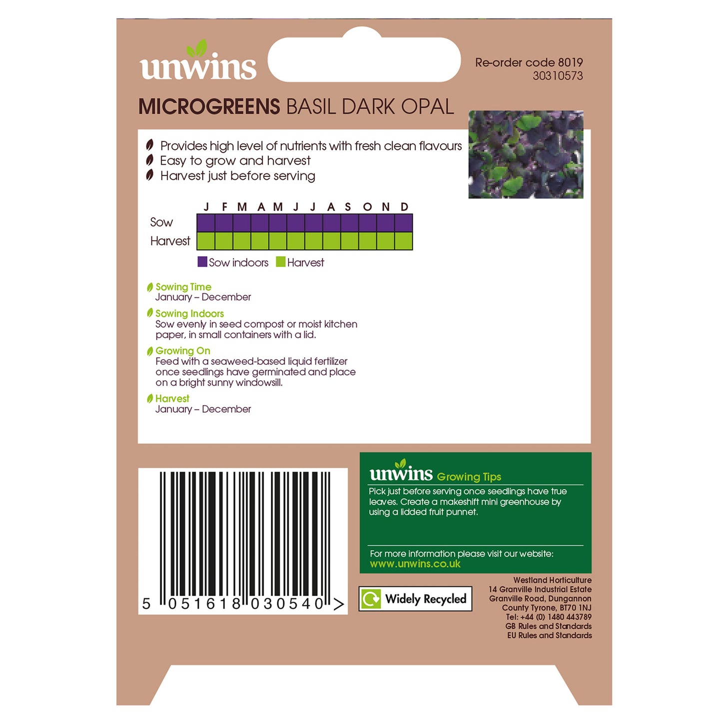 MicroGreens Basil Dark Opal