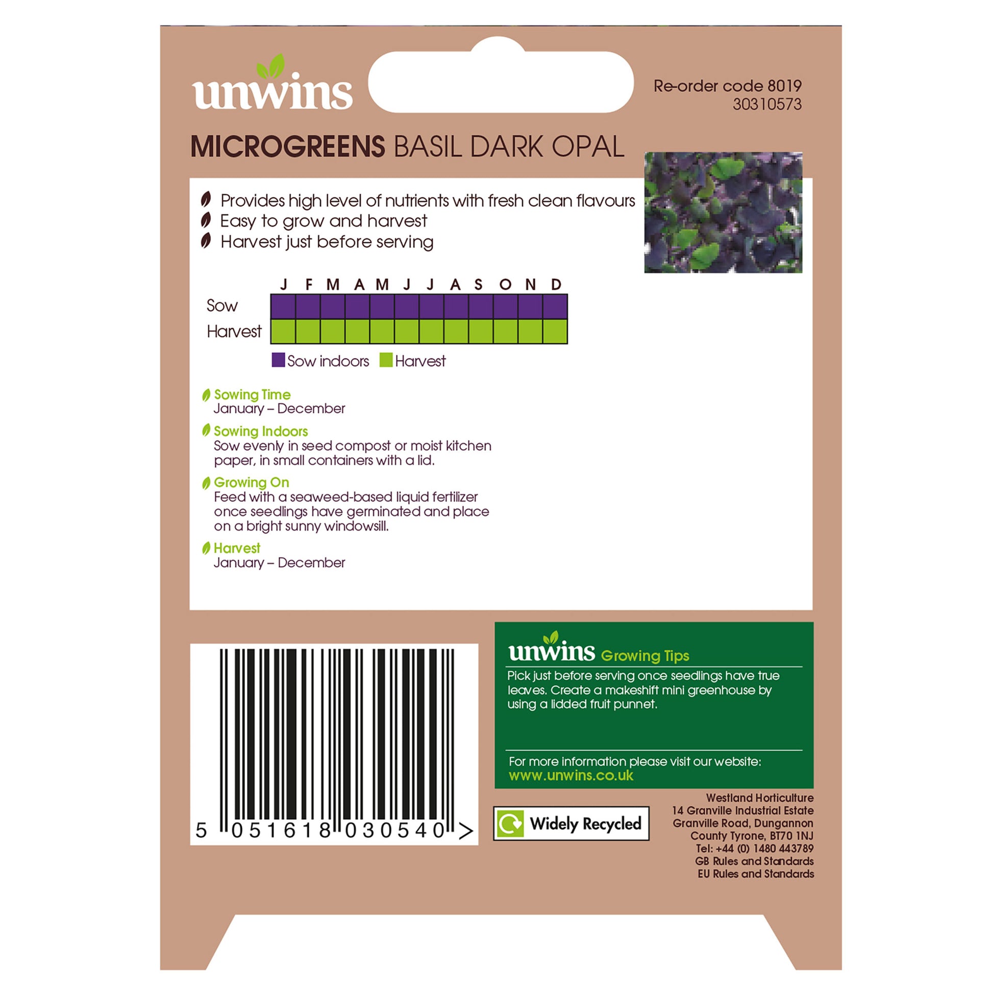 MicroGreens Basil Dark Opal