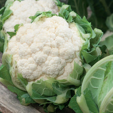 Cauliflower Triomphant