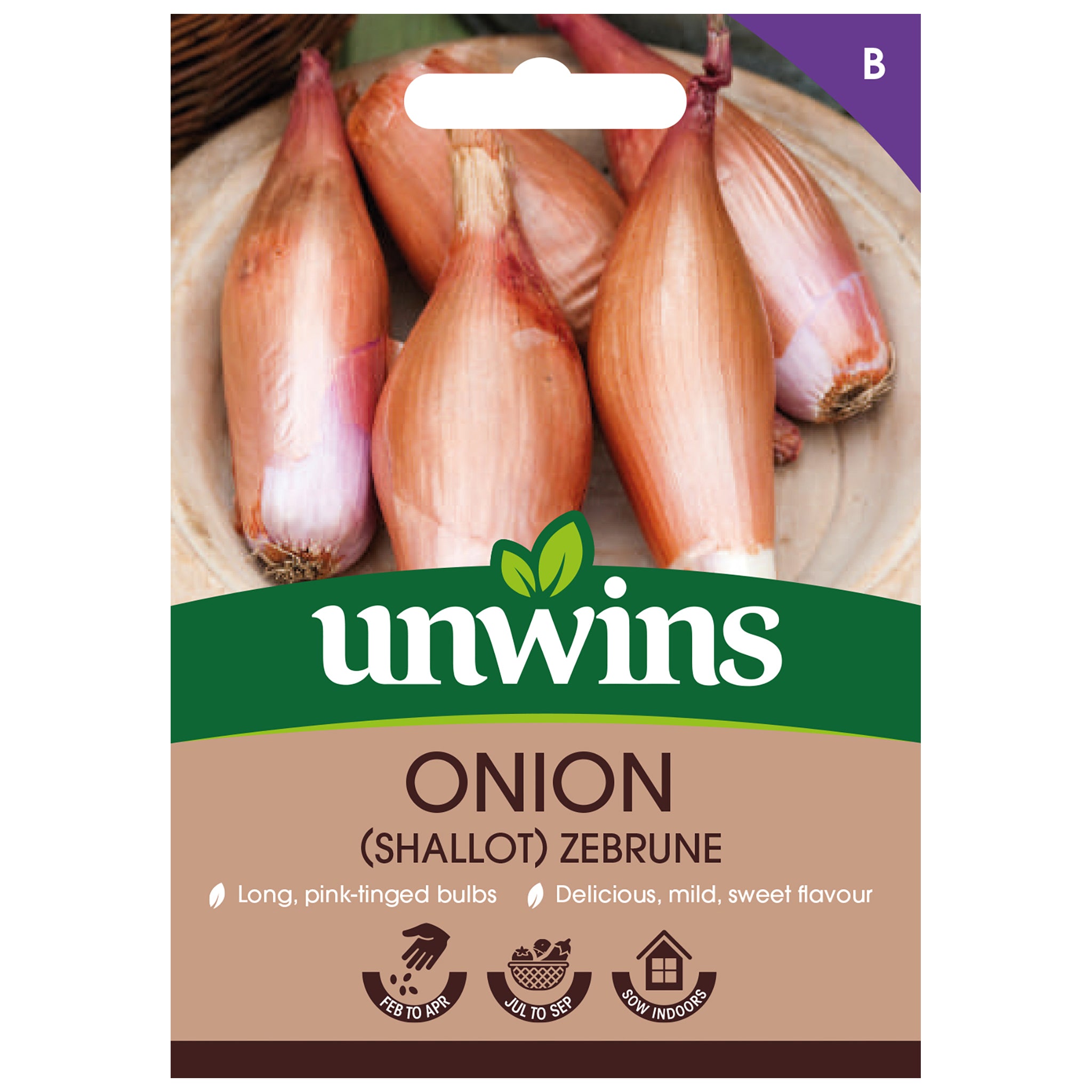 Onion (Shallot) Zebrune