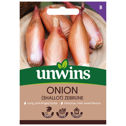 Onion (Shallot) Zebrune