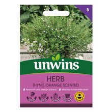 Herb Thyme Orange Scented