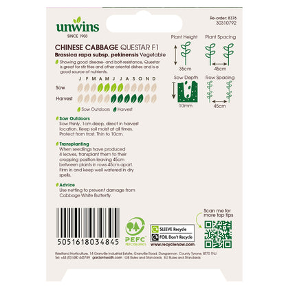 Cabbage (Chinese) Questar F1