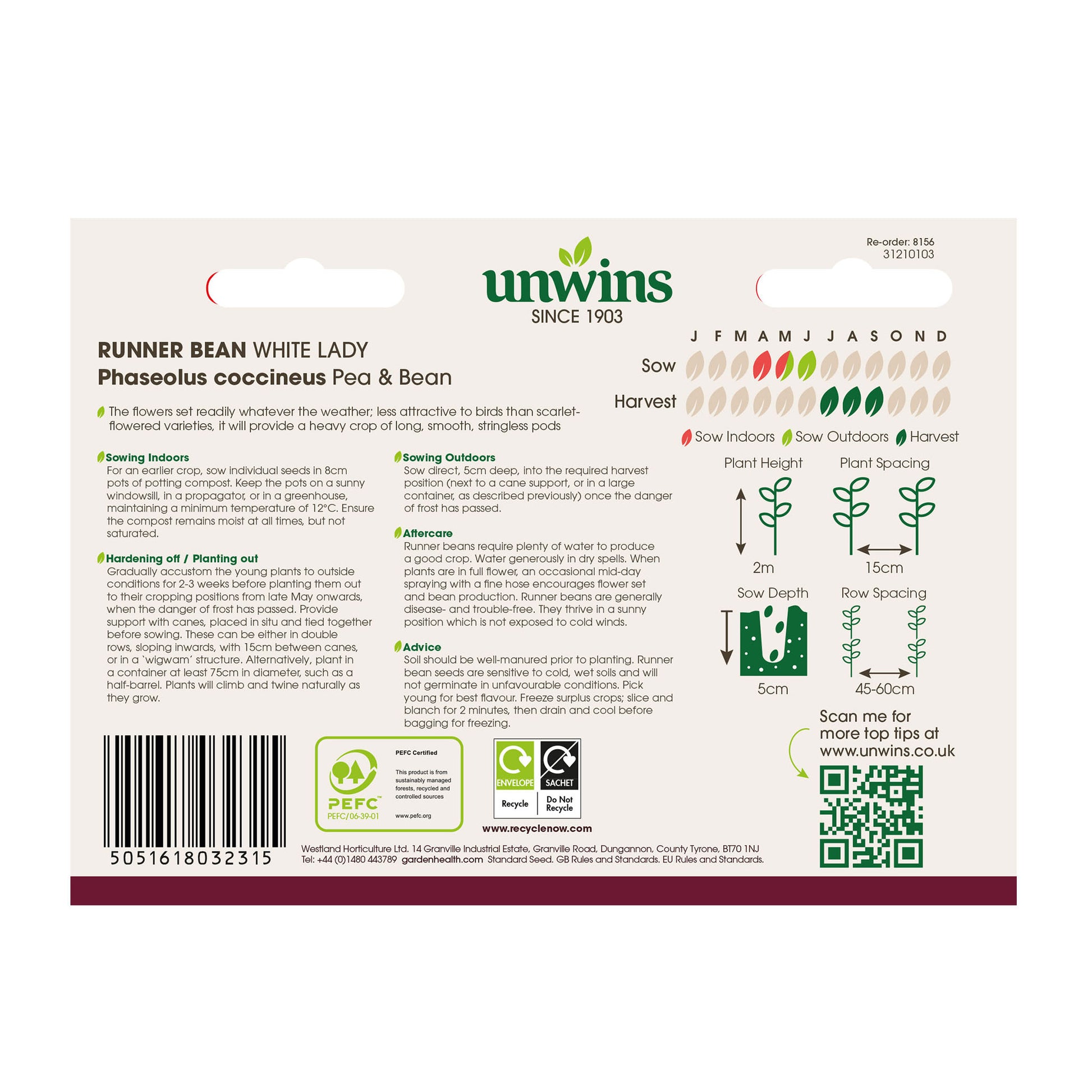 Runner Bean White Lady