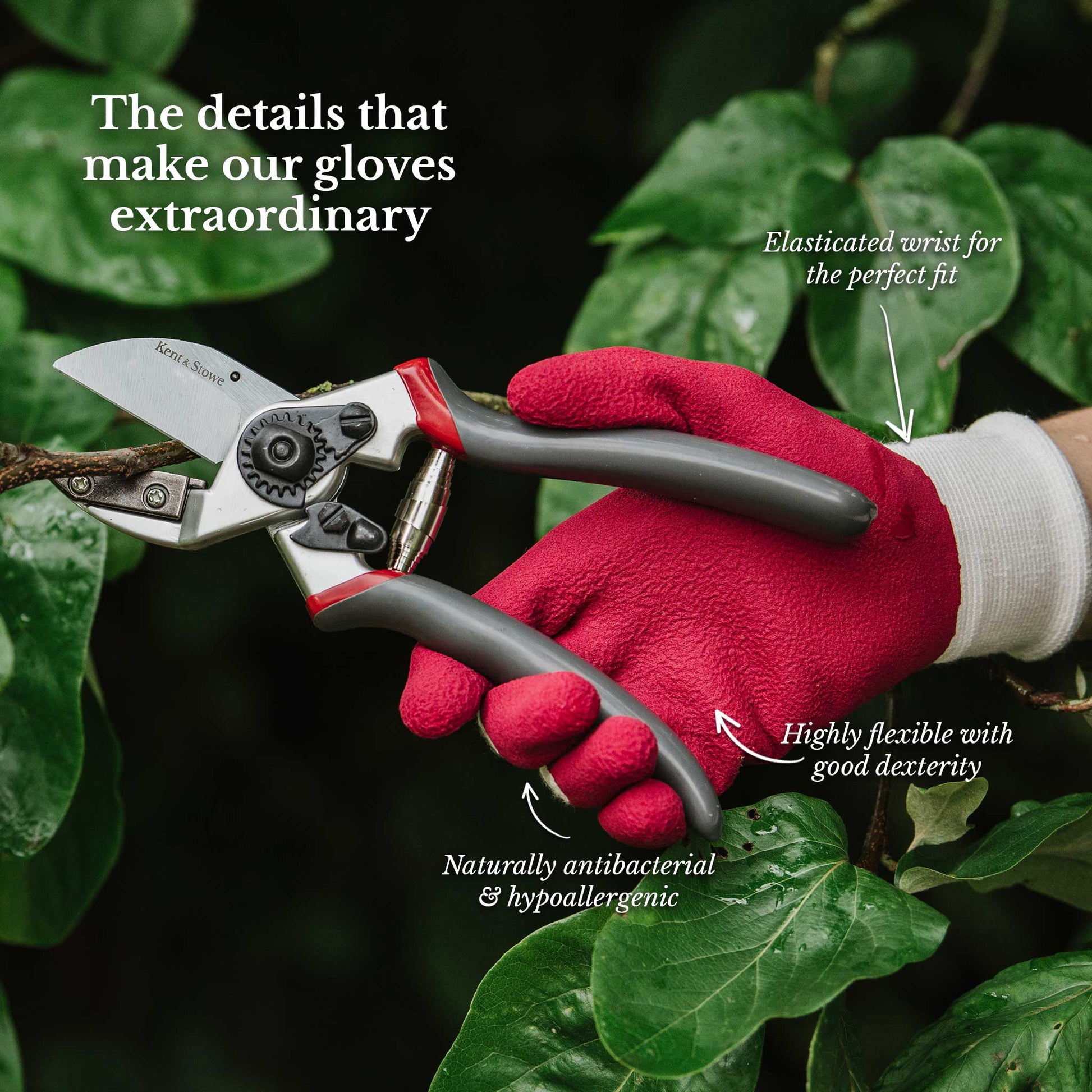 Kent & Stowe Rumba Red Natural Bamboo Gloves - Ladies Small