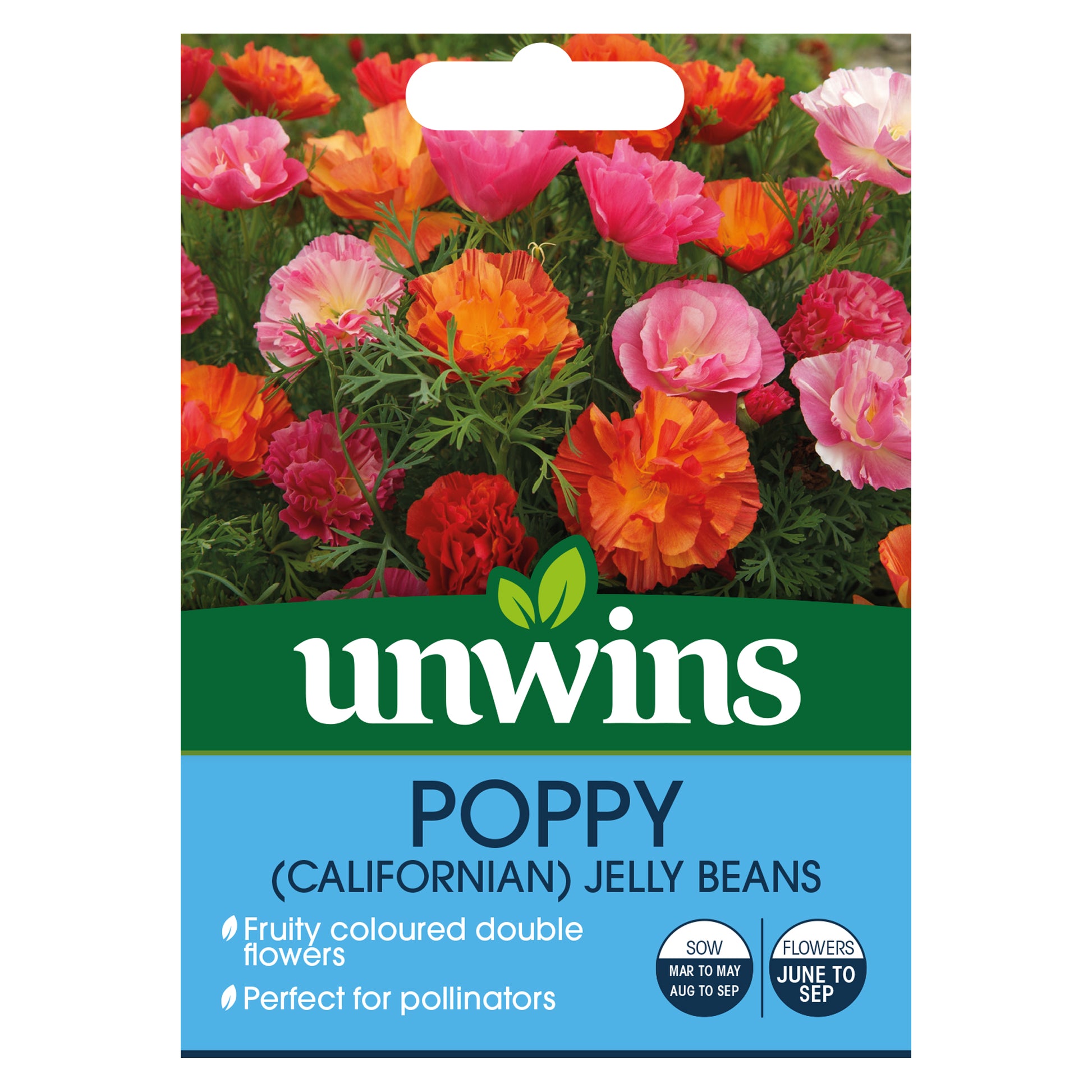 Poppy (Californian) XL Jelly Beans