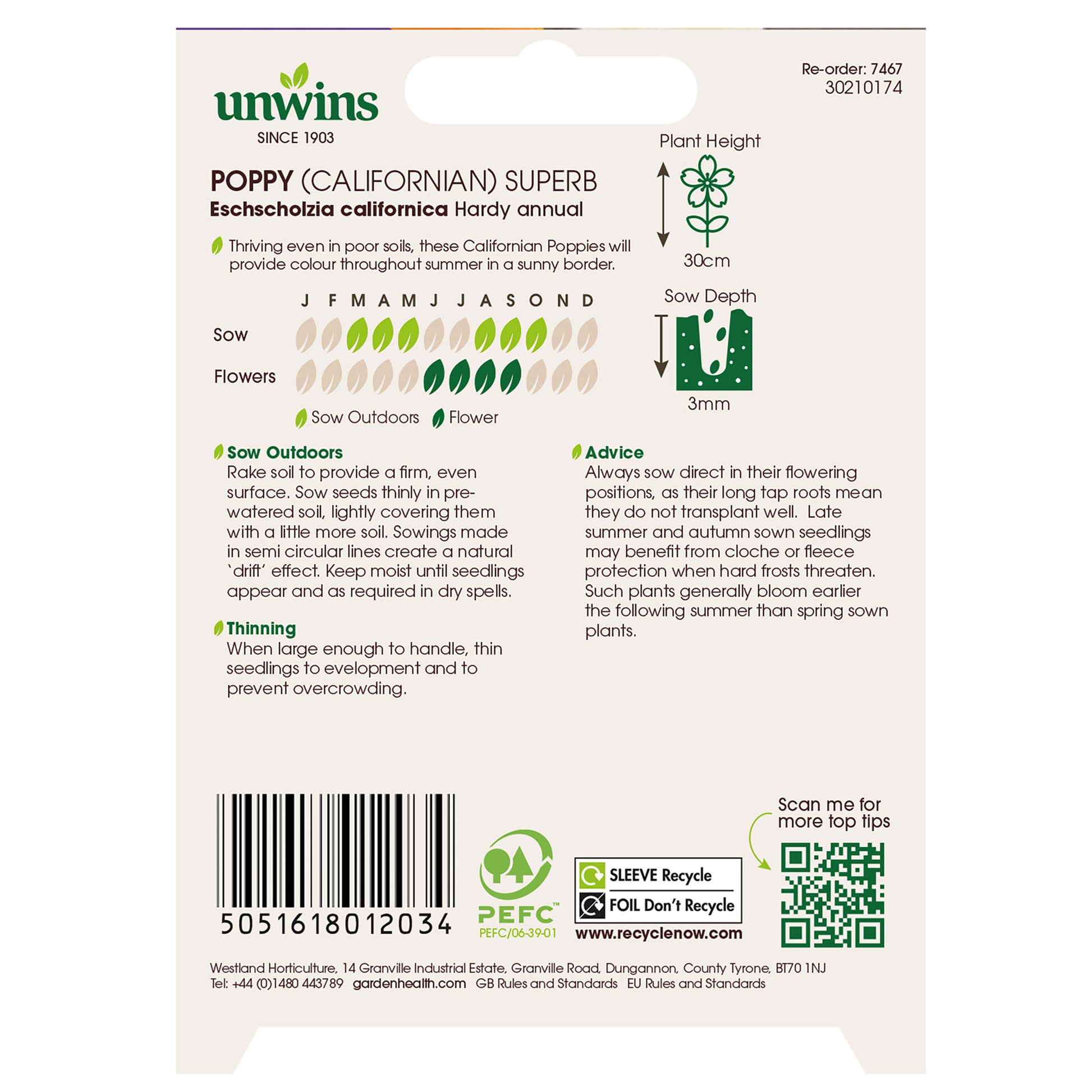 Poppy (Californian) Superb Mix